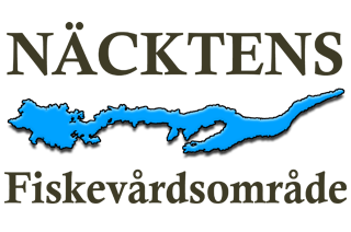 Nakten Logo